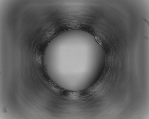 X0000096480088200802211224