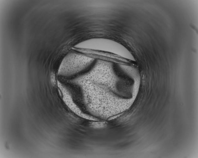 X0000096480089200802211224