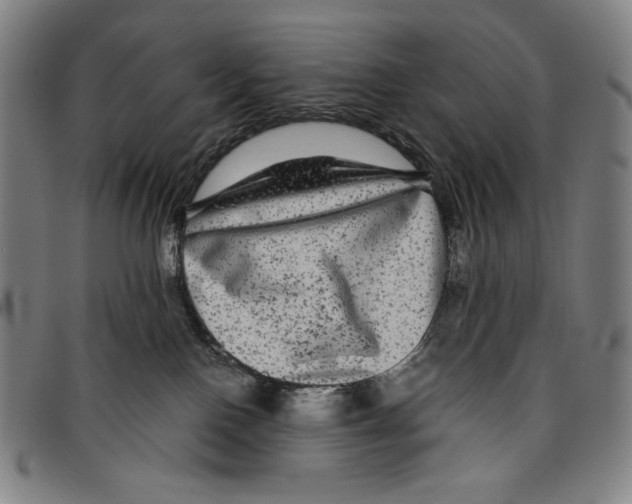 X0000096480090200802211224