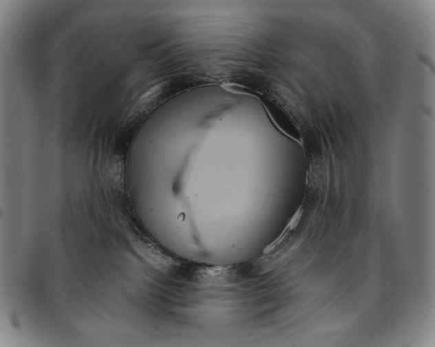 X0000096480092200802211224