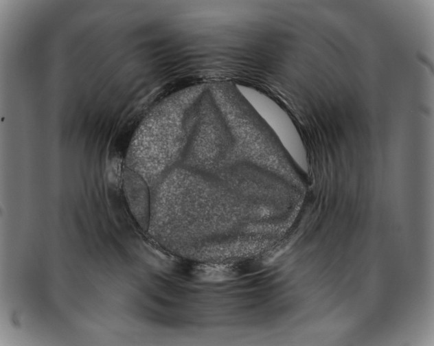 X0000096480093200802211224