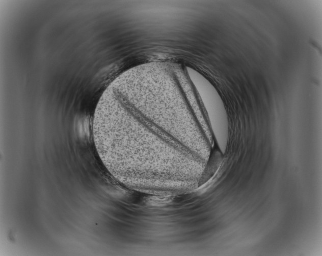 X0000096480094200802211224