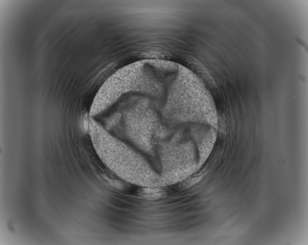 X0000096480095200802211224