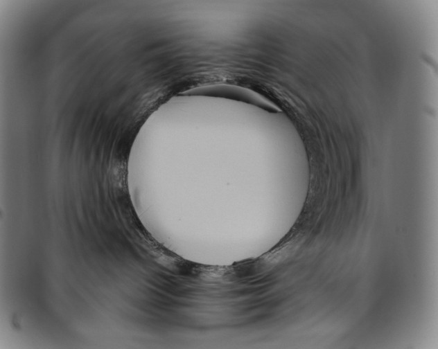 X0000096480096200802211224