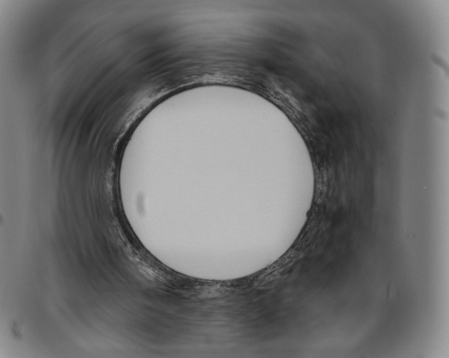 X0000096480098200802211224