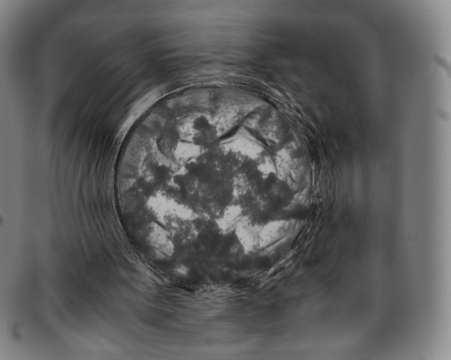X0000096480099200802211223