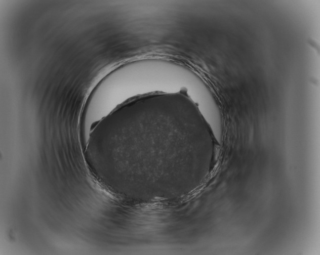 X0000096480100200802211223