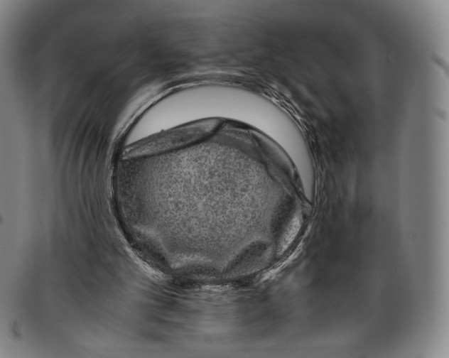 X0000096480101200802211223