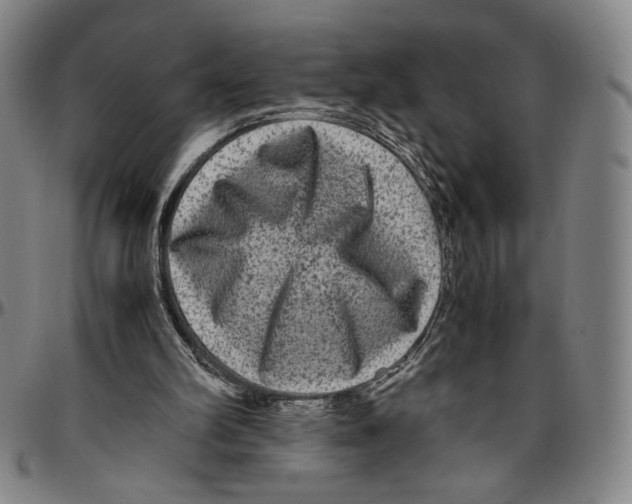 X0000096480102200802211223