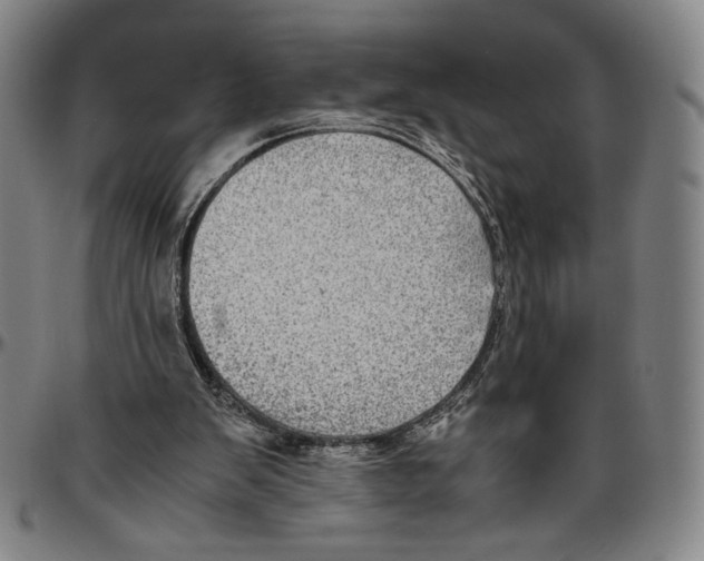 X0000096480103200802211223