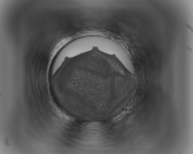 X0000096480104200802211223