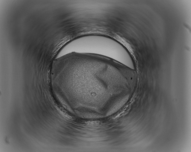 X0000096480105200802211223