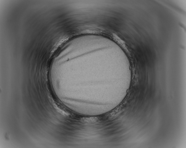 X0000096480106200802211223