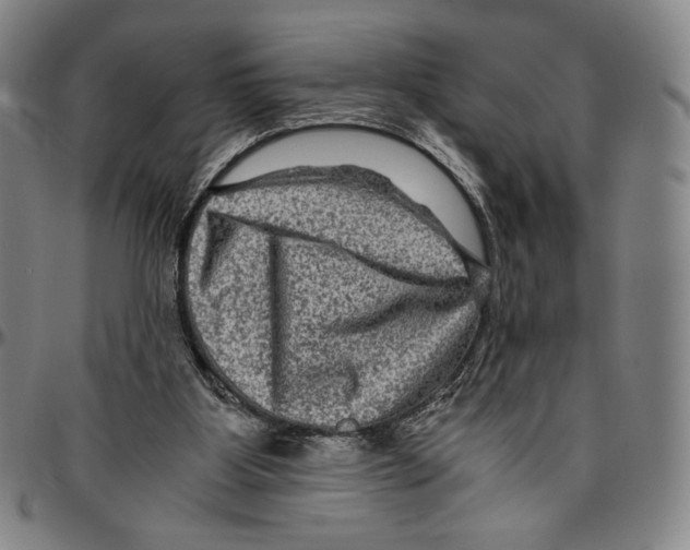X0000096480107200802211223