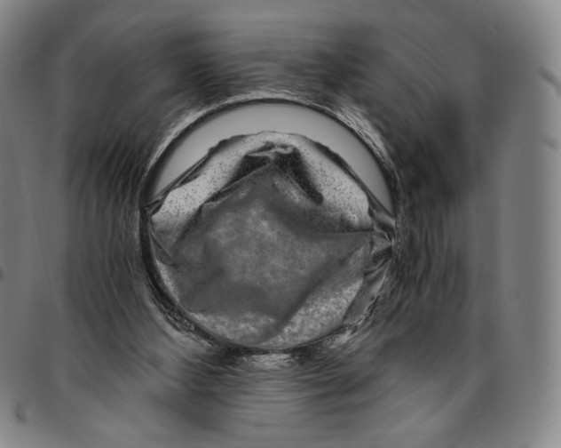 X0000096480108200802211223