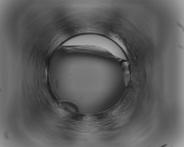 X0000096480109200802211223