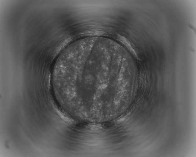 X0000096480110200802211223