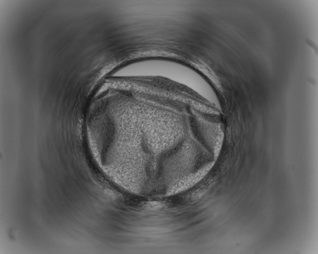 X0000096480111200802211223