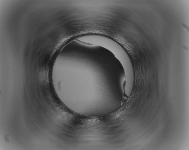 X0000096480112200802211223