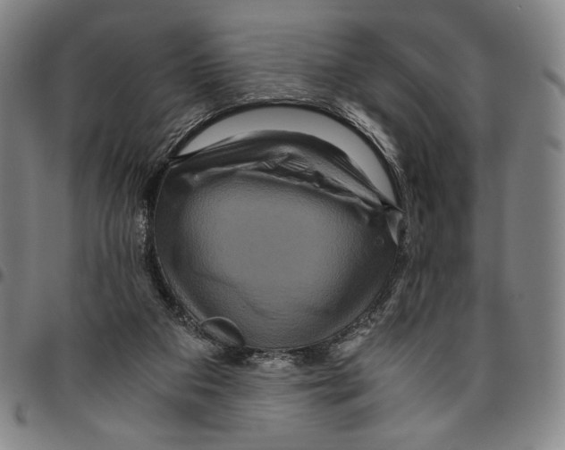X0000096480113200802211223