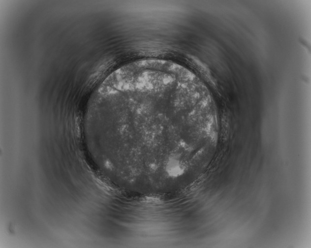 X0000096480114200802211223