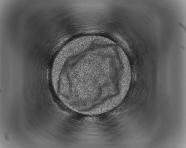 X0000096480115200802211223