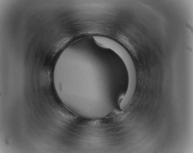 X0000096480116200802211223