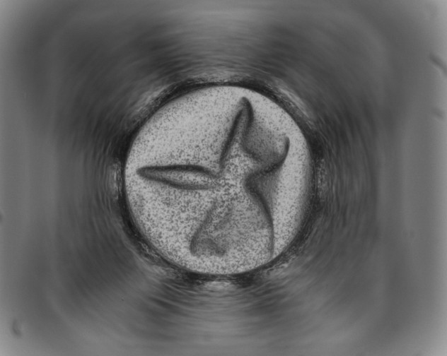 X0000096480119200802211223