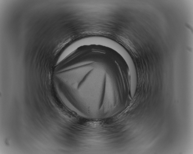 X0000096480120200802211223