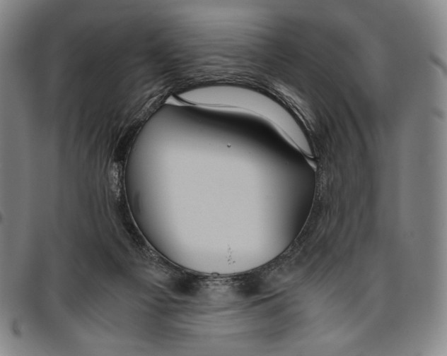 X0000096480121200802211223