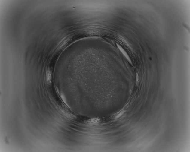X0000096480124200802211223