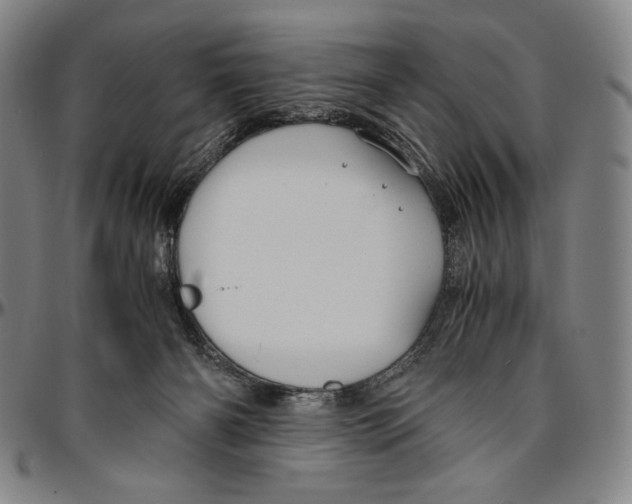 X0000096480126200802211223