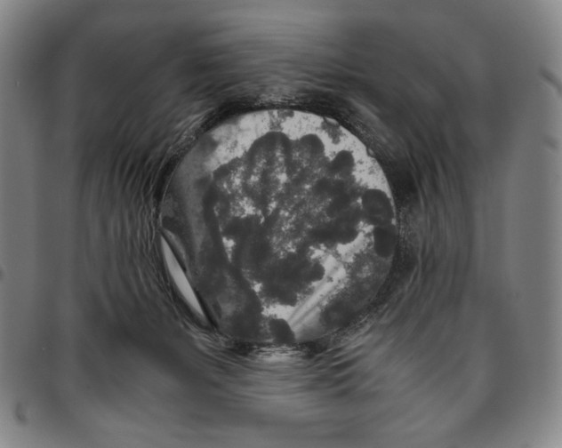 X0000096480127200802211223