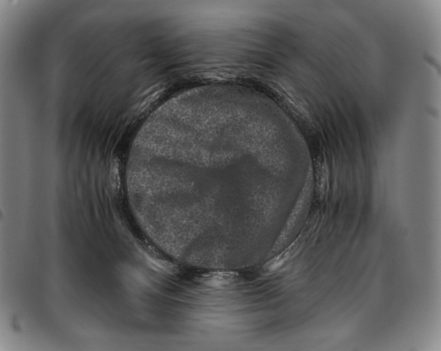 X0000096480128200802211223