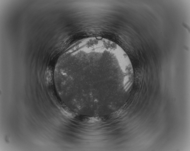 X0000096480130200802211223