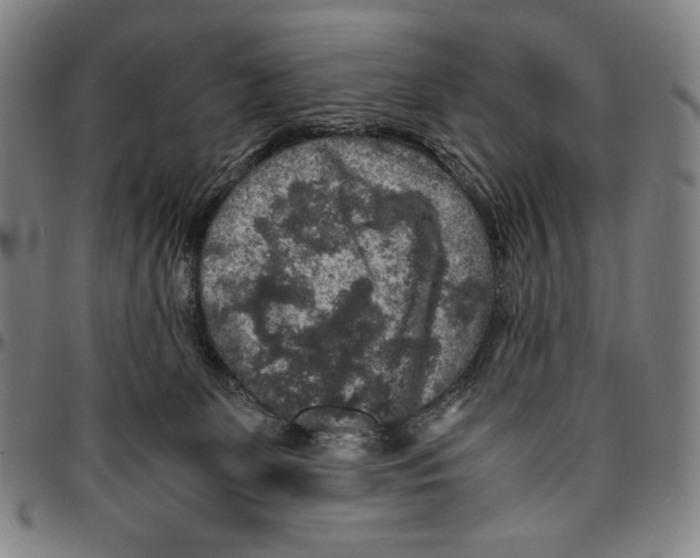 X0000096480131200802211223