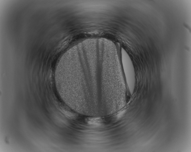 X0000096480132200802211223