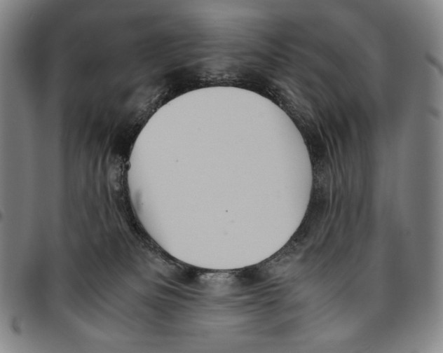 X0000096480133200802211223