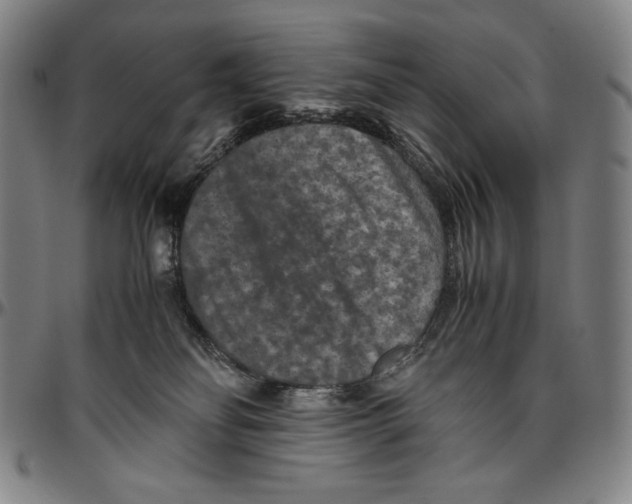 X0000096480134200802211223