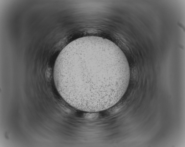 X0000096480135200802211223