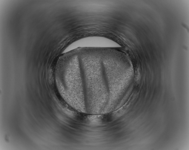 X0000096480136200802211223