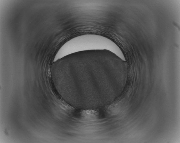 X0000096480137200802211223