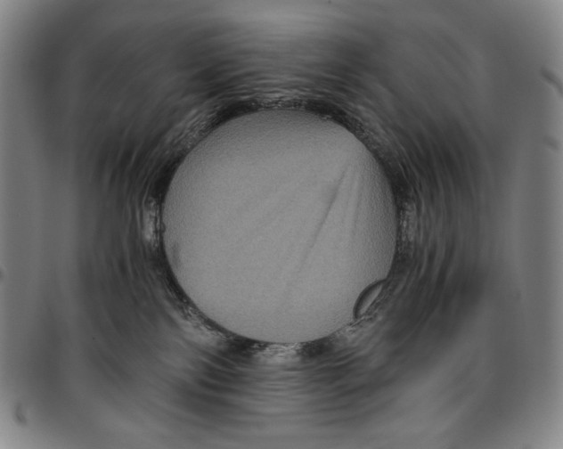 X0000096480138200802211223