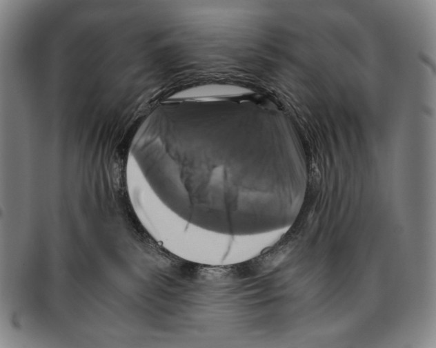 X0000096480139200802211223