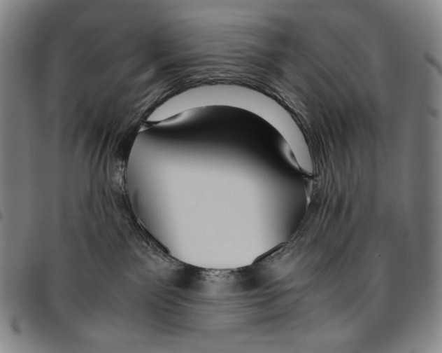 X0000096480141200802211223