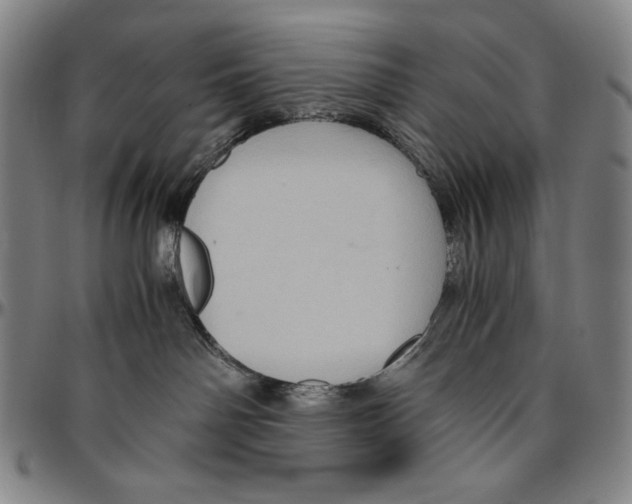 X0000096480142200802211223