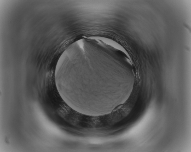 X0000096480143200802211223