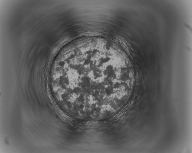 X0000096480145200802211222