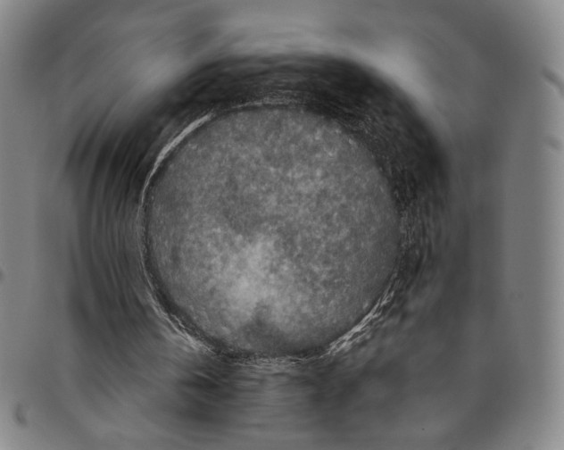 X0000096480146200802211222