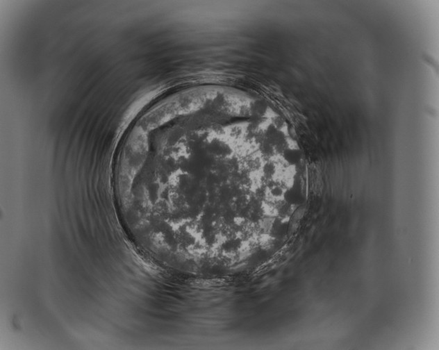 X0000096480147200802211222